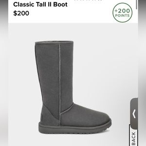 Brand new grey tall Ugg’s